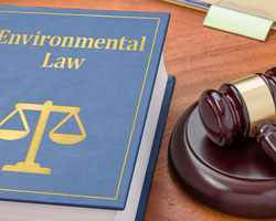 Ley del Medio Ambiente