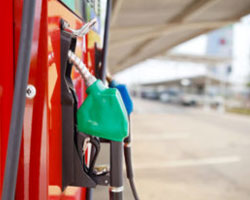 Derechos sobre el petróleo, gas y minerales